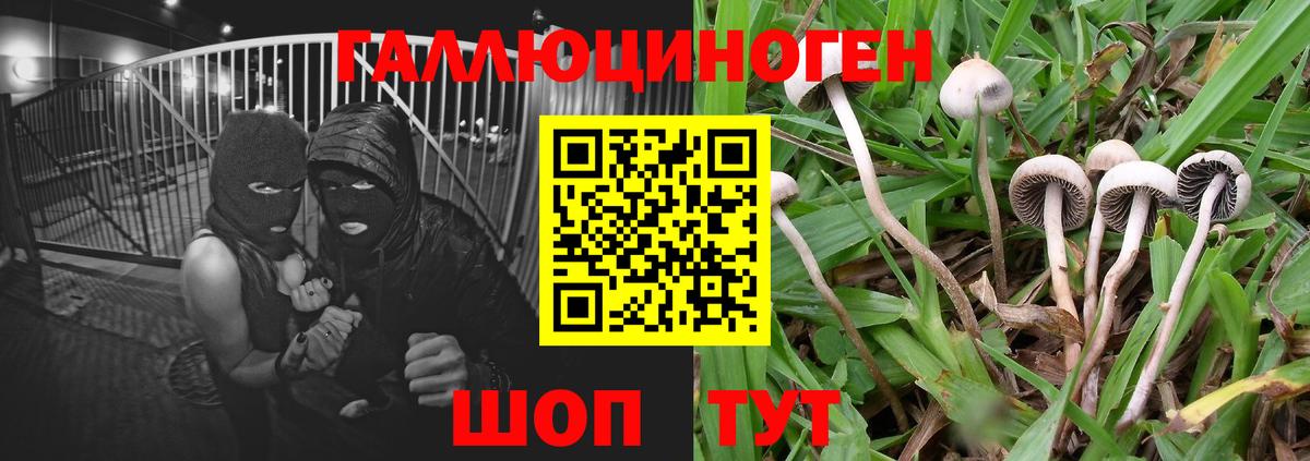 Галлюциногенные грибы Cubensis  Вход с VPN  Учалы  купить наркотик  Псилоцибиновые грибы Psilocybine cubensis 