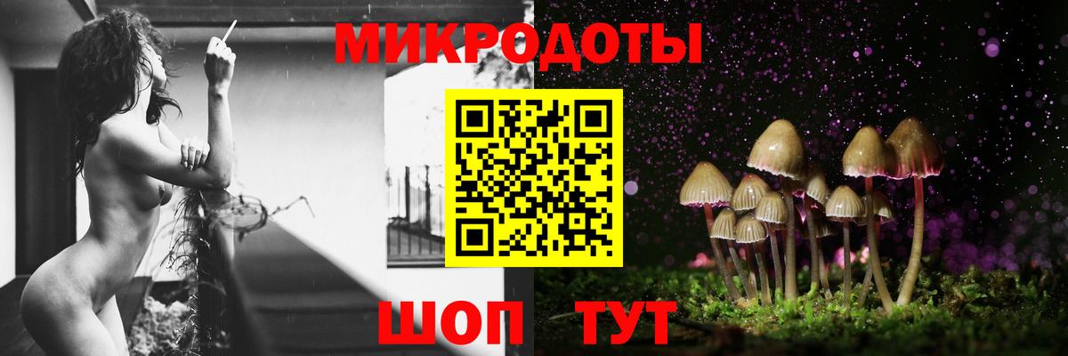 Псилоцибиновые грибы Psilocybine cubensis Учалы
